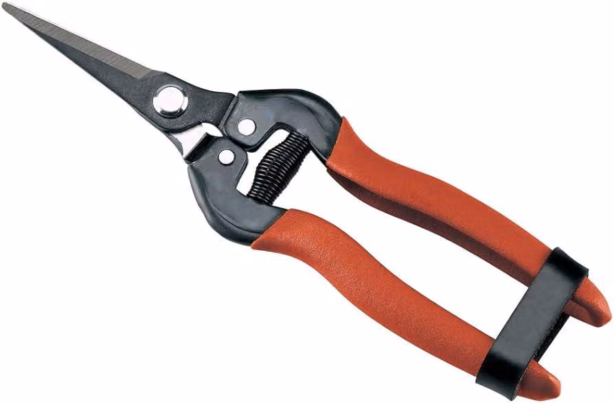FORBICI COGLIFRUTTA E ORTAGGI AUSONIA 19 cm