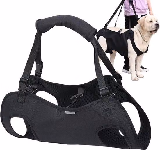 Imbracatura riabilitativa per cani, con tracolla, taglia L
