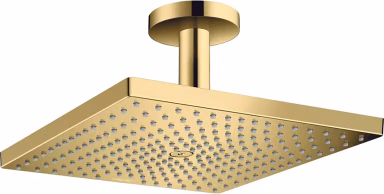Douche de tête Raindance E 300 Air 1jet, de la taille d'une main, avec raccordement au plafond, 26250990, 26250990