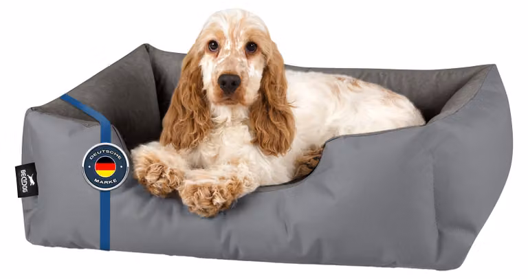 Letto per cani BedDog ZARA: cuscino per cani con rivestimento lavabile, cuccia per cani, divanetto per cani, STEEL-GREY (grigio), (M) ca. 70x55x18 cm