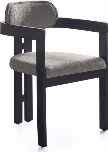 Esszimmerstuhl Stuhl Küchenstuhl Lehnstuhl Holz Stoff Modern Grau