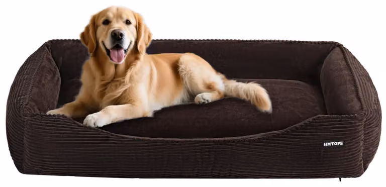Cuccia per cani in Cordura, rimovibile e lavabile, color marrone, dimensioni 110 x 85 x 27 cm