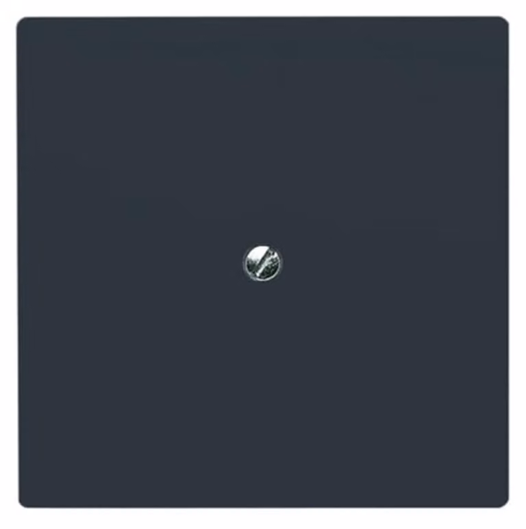 Disco centrale cieco Busch-Jaeger con anello di supporto 2138-35