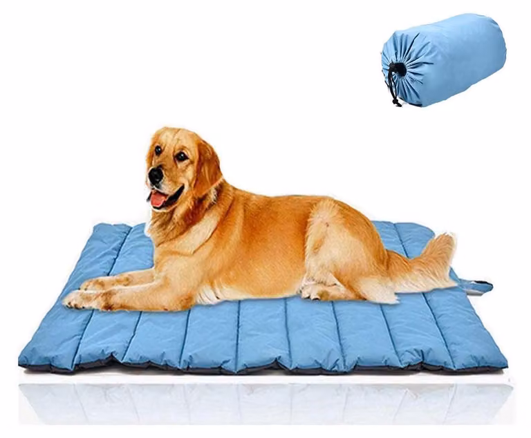 Cuccia da esterno per cani, impermeabile, lavabile, grande, resistente e idrorepellente