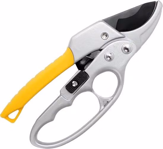 Set di cesoie per arbusti e piante - Cesoie 2 in 1 per il giardinaggio