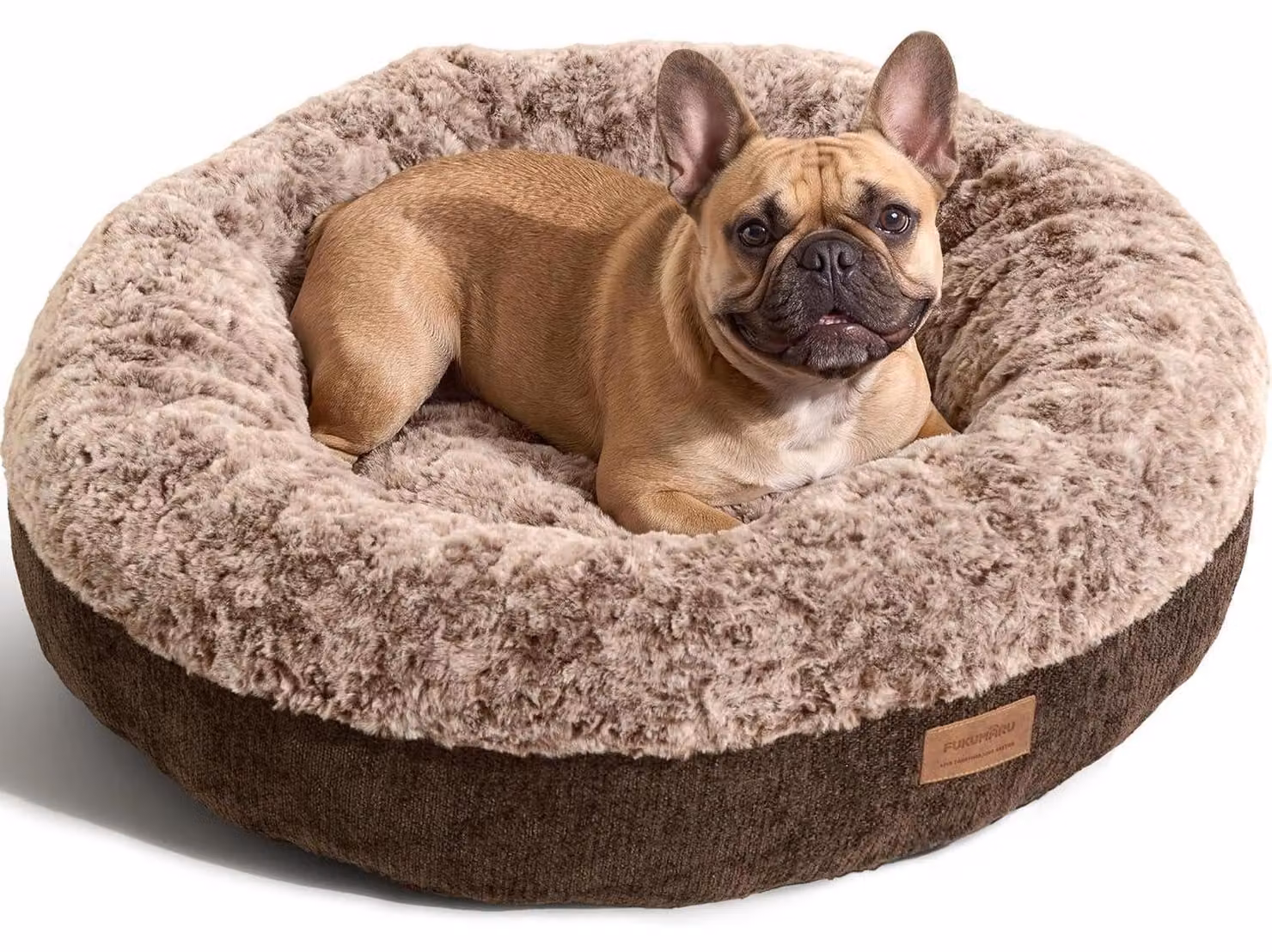 Cuccia per gatti, cuccia per cani, 64 cm, marrone scuro, lavabile, antiscivolo, in ecopelle, ortopedica