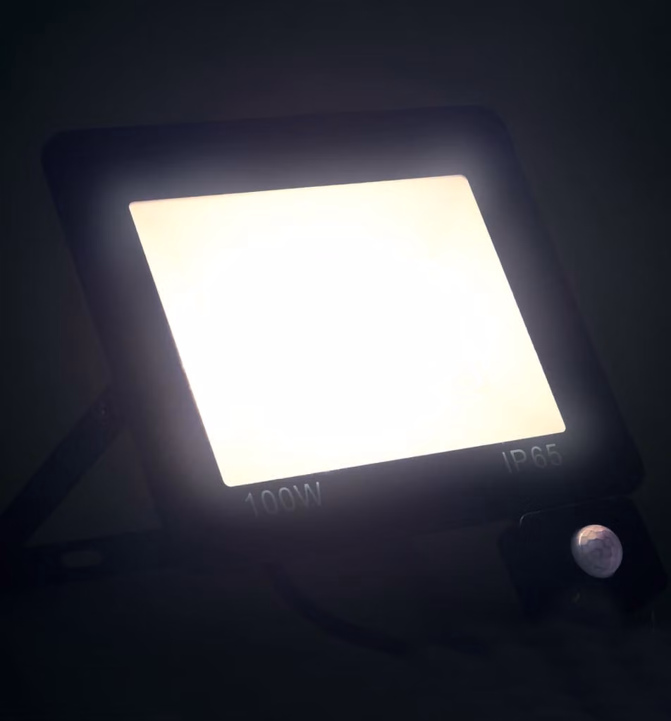 Faretto a LED con Sensore 100 W Bianco Freddo