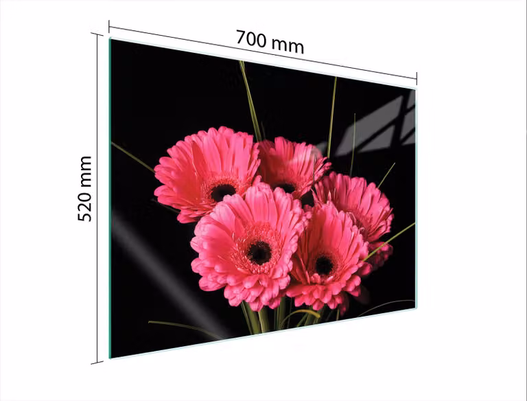 Piastra Di Protezione Vetri Per Erede 70X52 Gerbera