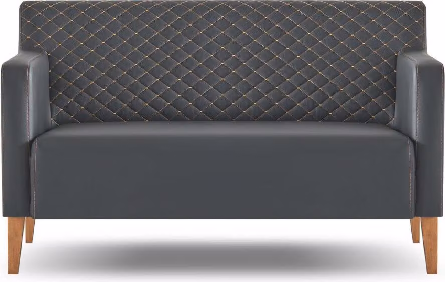 Sofa 2-Sitzer Arbeitszimmer Schwarz Einfarbig Modern Design Wohnzimmer