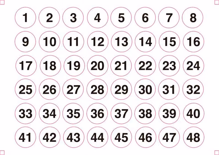 Set composto da 2 fogli identificativi autoadesivi in formato A5 con numeri circolari da 1 a 48 Edm