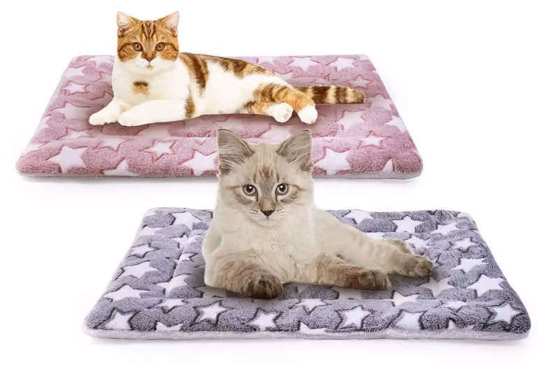 Omgoods - 2 cuscini a forma di animale per cani e gatti, lavabili
