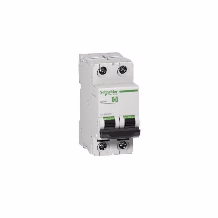 Interruttore LS Schneider Electric M9F11216