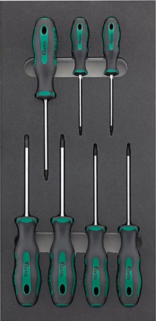 Modulo utensili 1/3 di cacciavite Torx FORTIS