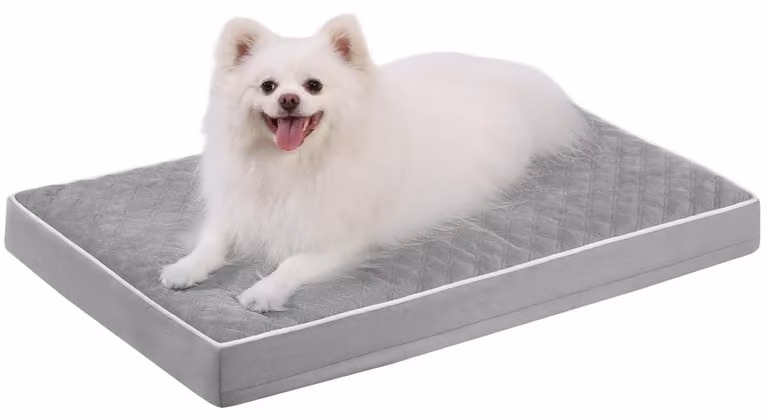 Letto ortopedico per cani di taglia media
