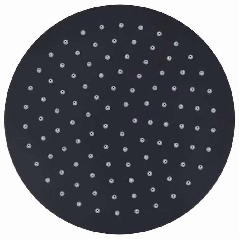 Testa Doccia a Pioggia in Acciaio Inox 25 cm Rotonda Nera