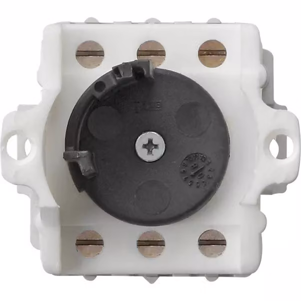 Gira 143400 Inserto per interruttore a chiave a 2 poli WG a vista