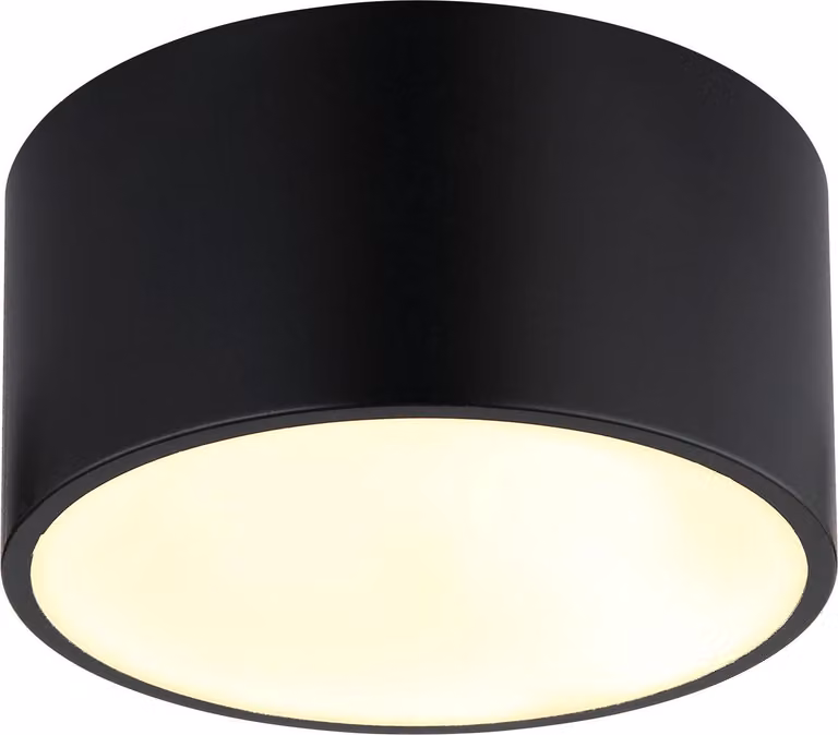 Globo Lighting Deckenleuchte BERTHOLD
