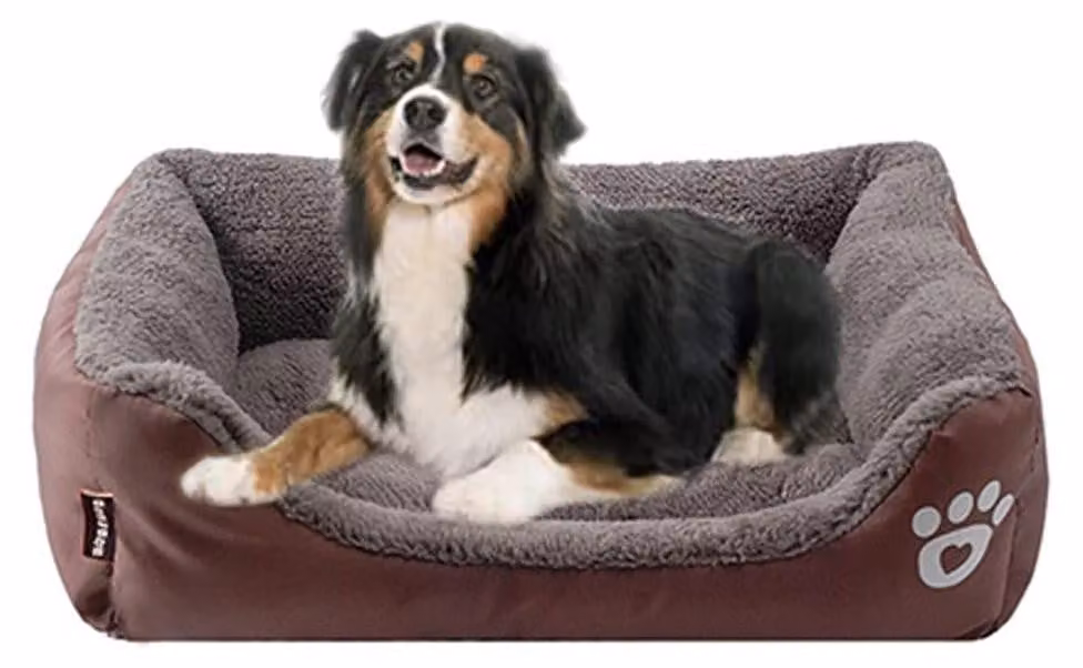 Cuccia per cani XL, lavabile, ortopedica e antiscivolo