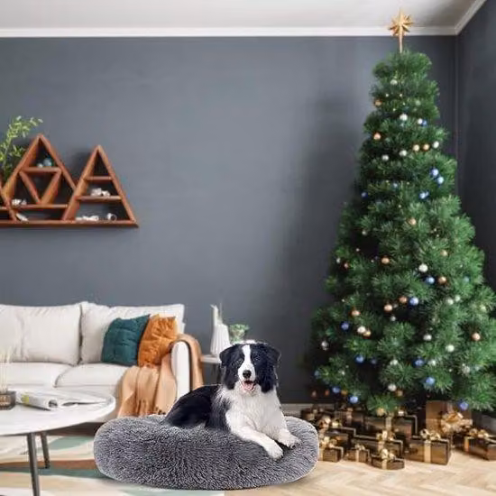 Cuccia per cani a doppia parete 70x70x26 cm