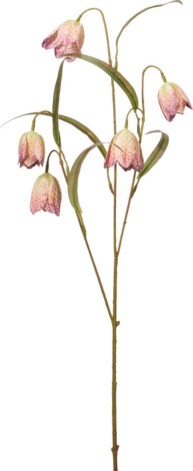 Ramo decorativo artificiale di ribes, 59 cm, color crema-rosa, marca H&L