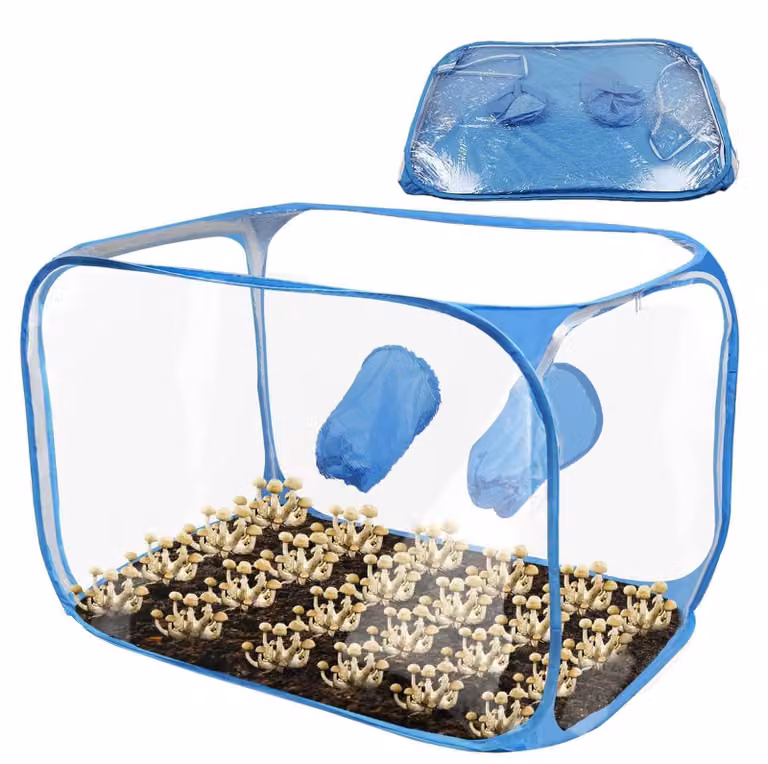 Tenda per la coltivazione di funghi per uso domestico