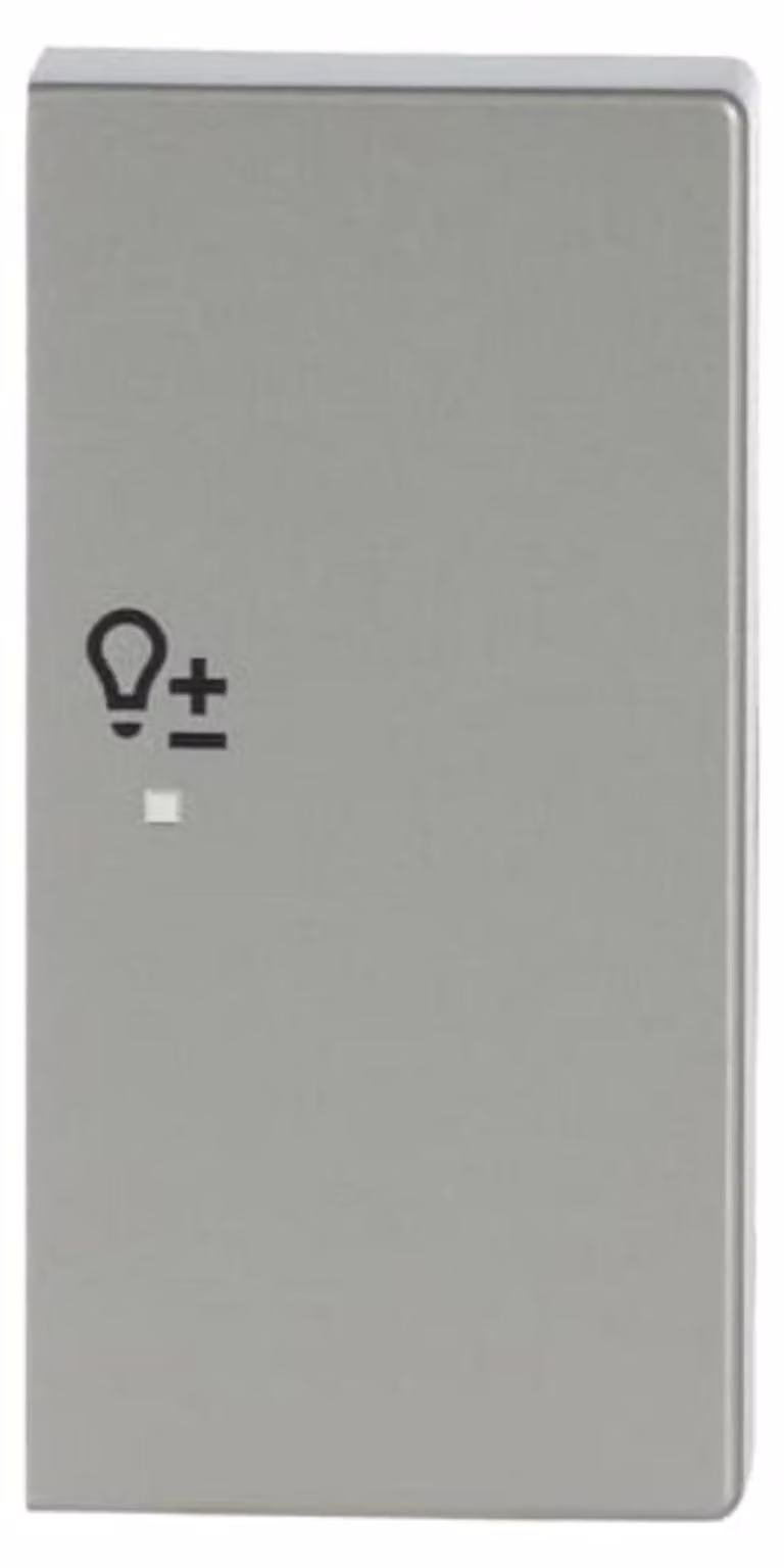 Bilanciere Busch-Jaeger eds in puro acciaio inox 6234-22-866