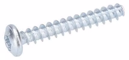 Vite a testa bombata Torx per Martello a percussione BOSCH PROFESSIONAL - 1613490009