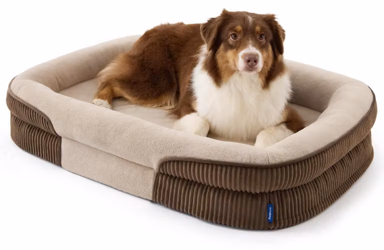 Cuccia ortopedica per cani, dimensioni L, 97x71x18 cm, colore marrone, realizzata in pile, impermeabile e antiscivolo