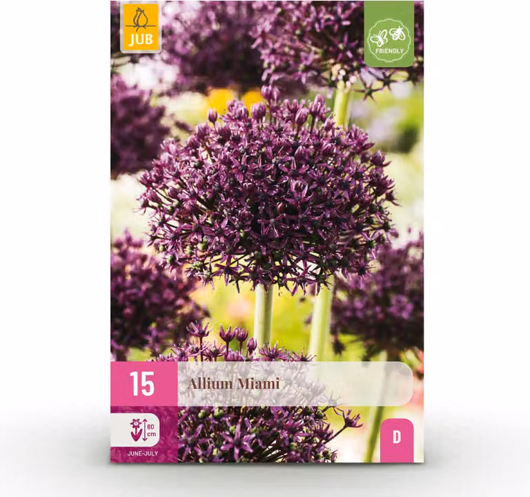 Bulbi da fiore - Allium 'Miami' - Viola - 15 unità - Bulbo di dimensione 10/11 - 50-150cm - Ø10cm - Pianta da giardino - Multideal