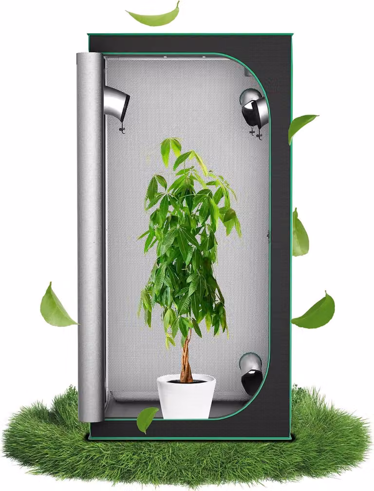 QEENTOE, tenda di coltivazione da interno 100x100x200 cm, ideale per la coltivazione di ortaggi ed erbe aromatiche, struttura per la coltivazione di piante in ambiente controllato