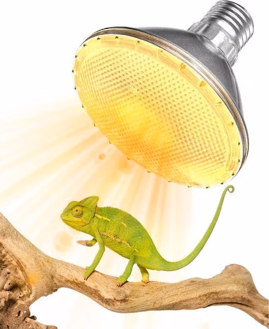 Lampada riscaldante per rettili da 75W, con raggi UVB e UVA, lampada da riscaldamento E27 dimmerabile, modello PAR30, adatta per terrari