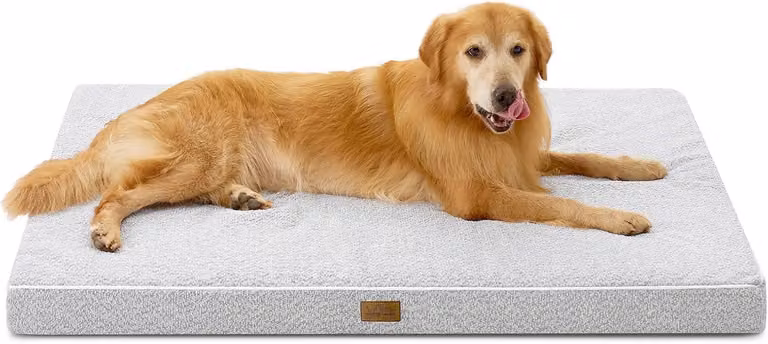 Cuccia ortopedica per cani, con rivestimento interno impermeabile, dimensioni 137 x 111 x 10 cm, adatta a cani di grossa taglia