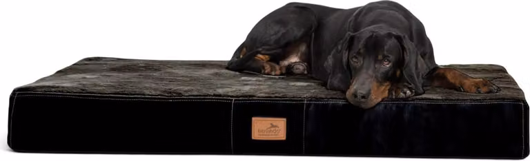 tierlando® Tappeto ortopedico per cani STUART ORTHO PLUS - Dimensioni: 120x90cm | Colore: 03 Nero
