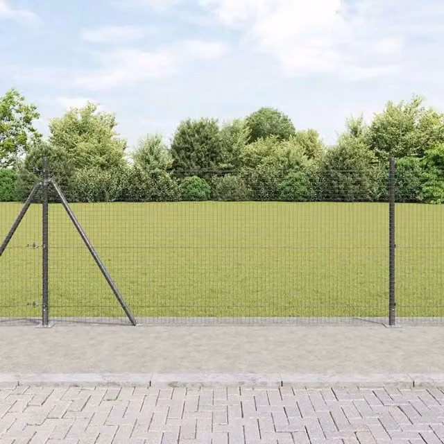Recinzione Metallica Saldato con Base in Cemento 100 x 0,8 m 3352617