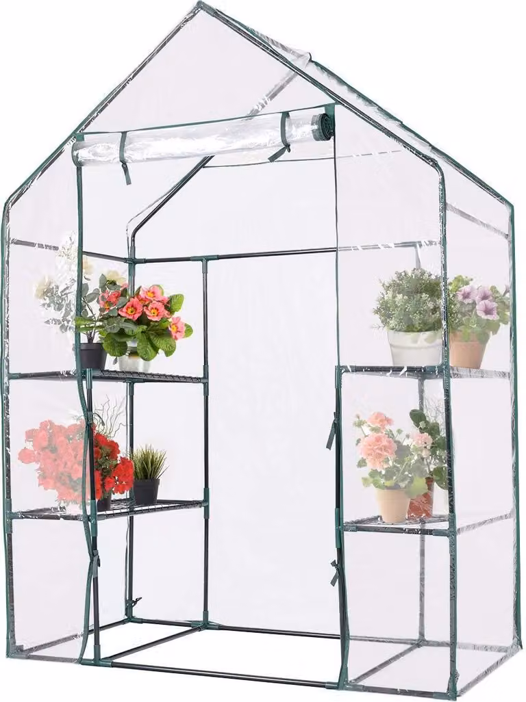 Serra, serra in plastica con 4 ripiani, serra con porta avvolgibile e telaio in ferro, serra per la coltivazione, serra per fiori, ortaggi e frutta (143x73x195 cm)