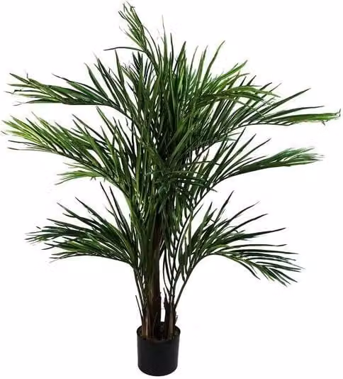 Foglia di Palma Areca, 130 cm