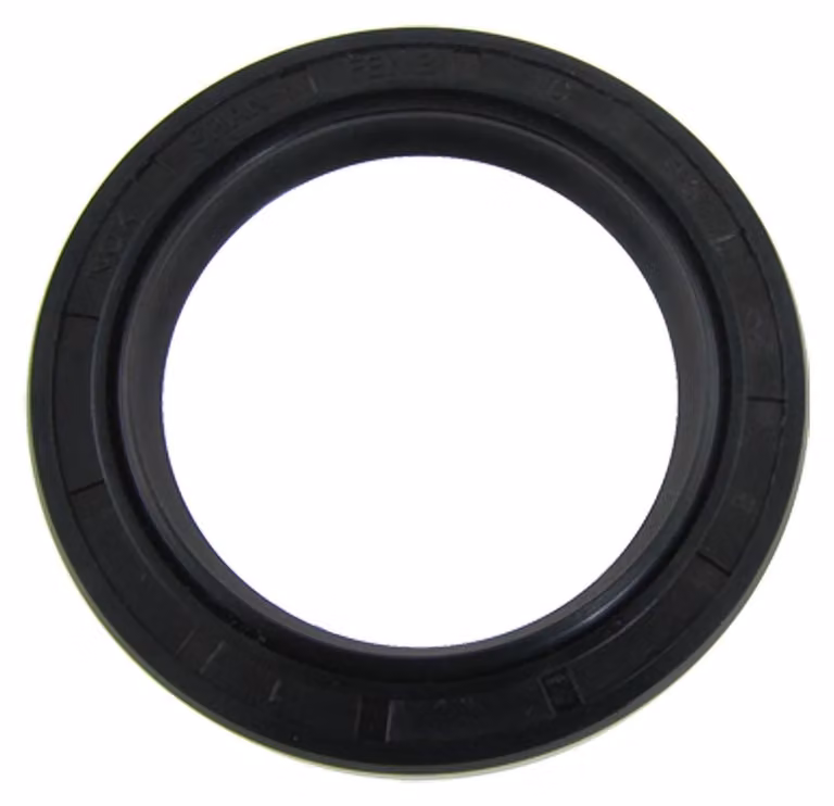 Guarnizione per porta, dimensioni 45x62x8 mm, a doppia labbro, in acciaio