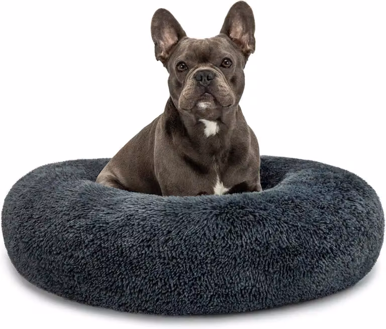 Cuccia a forma di ciambella per cani e gatti, morbida cuccia rotonda per animali domestici di piccole e grandi dimensioni (XL), diametro 70 cm, ideale anche per gatti