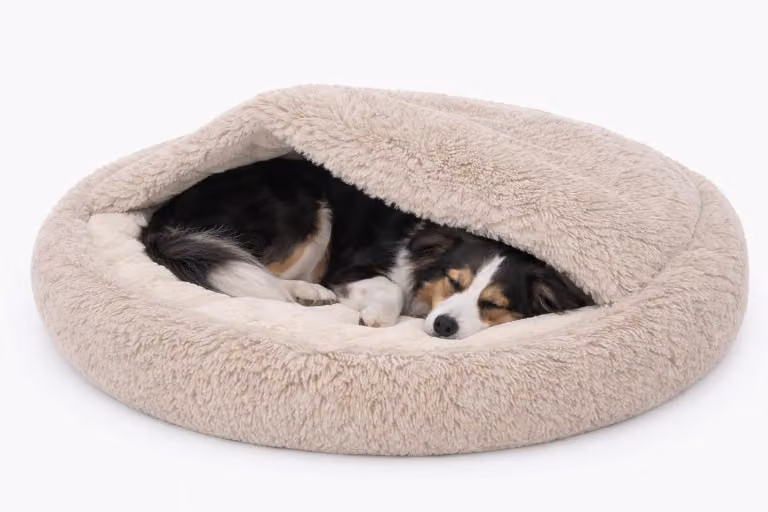 ODOL-PLUSZ Cuccia rotonda per cani e gatti 80 cm, grigia, bouclé shaggy, design a sacco a pelo, cuccia calda a forma di tana, fondo antiscivolo, lavabile in lavatrice