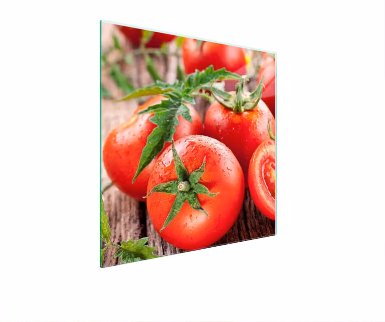 Piastra Di Protezione In Vetrina Per Tomatas 50X52