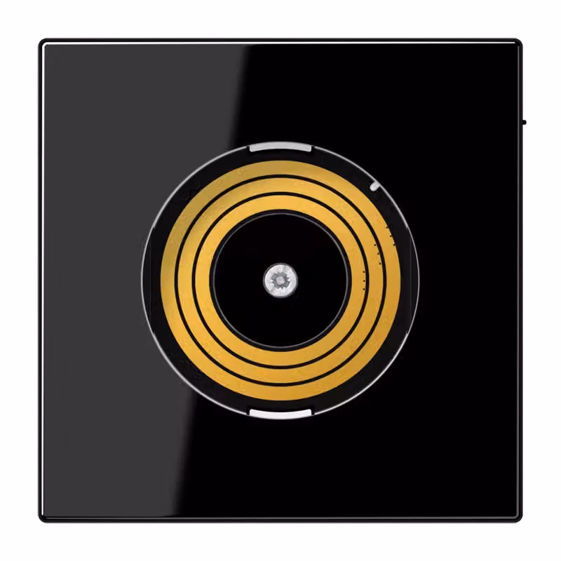 Copertura Jung PLLSDMSSW serie P&L LS990 con DMS
