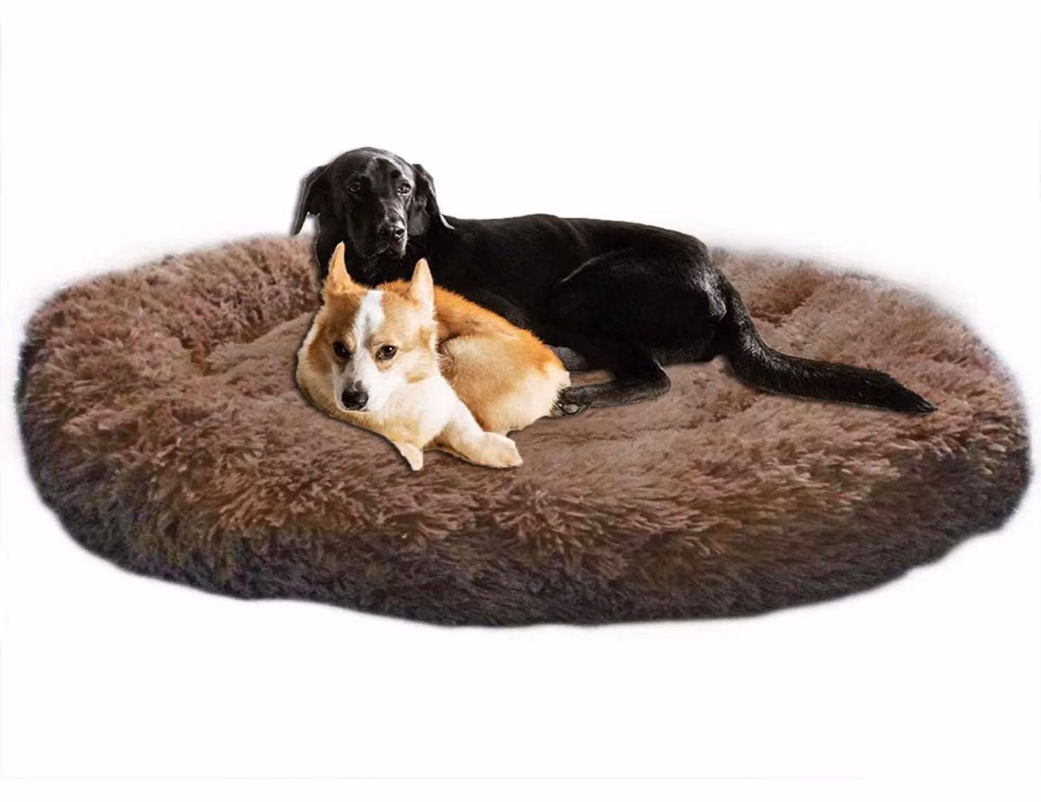 Letto ortopedico per cani, taglia XXL, divano per cani marrone, imbottitura in memory foam, lavabile, antiscivolo
