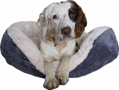 Cestino per cani Rosewood Oval Jumbo Cord Plush Grigio/Crema
