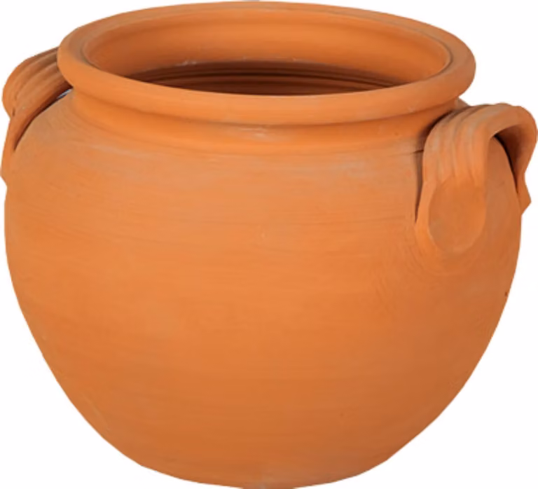 Vaso Tolumba H22