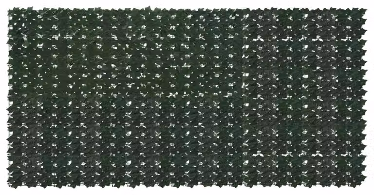 Schermo per balcone con foglie Verde Scuro 300 x 150 cm