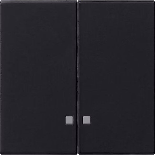Finestra di comando a bilanciere 2f. sw - Piastra di copertura per interruttore/pulsante nero 0631005