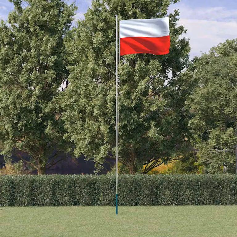 Asta e bandiera della Polonia in alluminio e poliestere vidaXL, 6,08 m, argento e multicolore