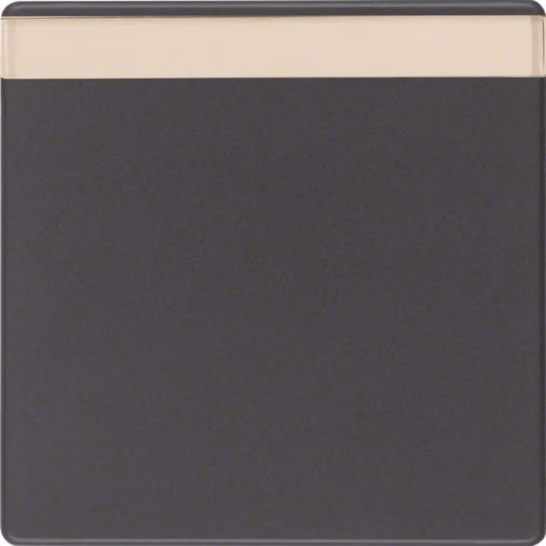 Berker 16266086 Rocker con campo di etichettatura antracite con Berker Q.1/Q.3
