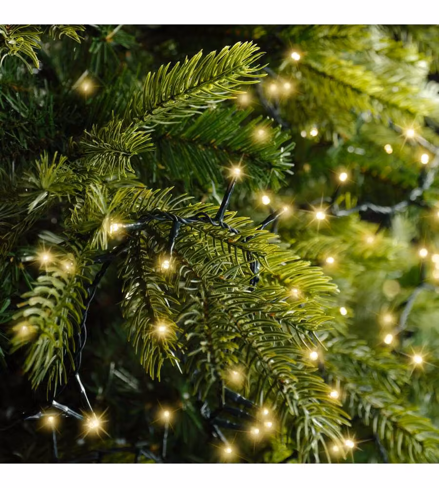 Lumineo Luci Natalizie - 500 LED Oro con Timer per Esterni - 1100cm