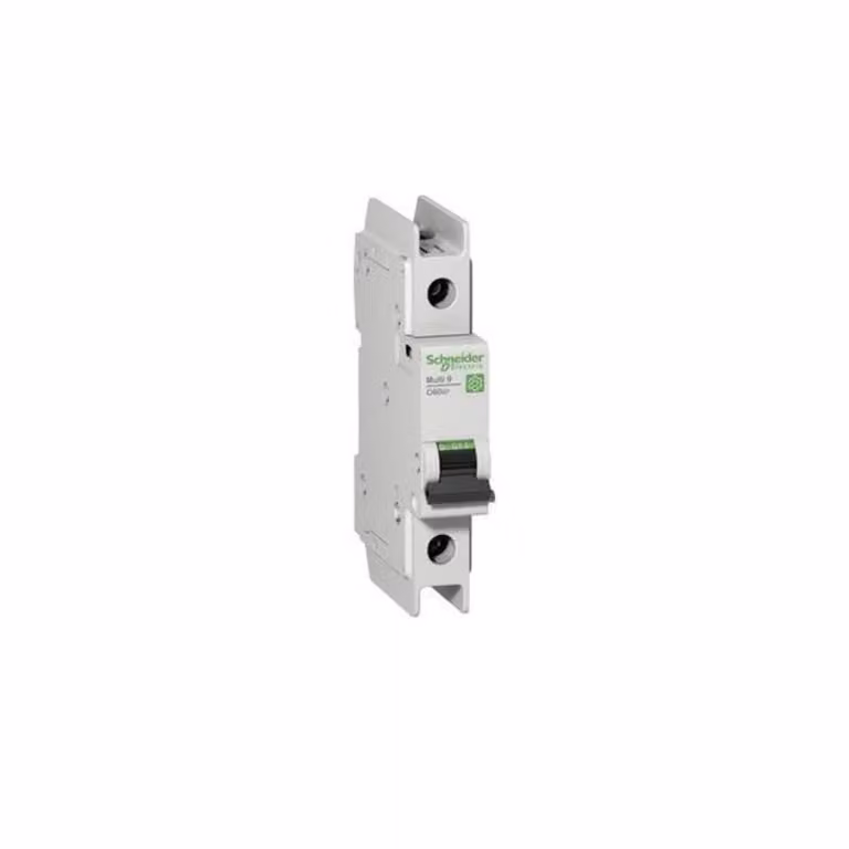 Interruttore LS Schneider Electric M9F42106
